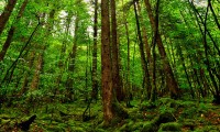 世界举重公开赛国际裁判培训营招生简章公布，国际举重比赛