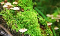 世界拳击职业联赛季前热身赛日程公布，世界拳击比赛视频2019全过程