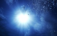 世界体能训练认证：多国教练获得国际资格证书，体能训练师国家承不承认